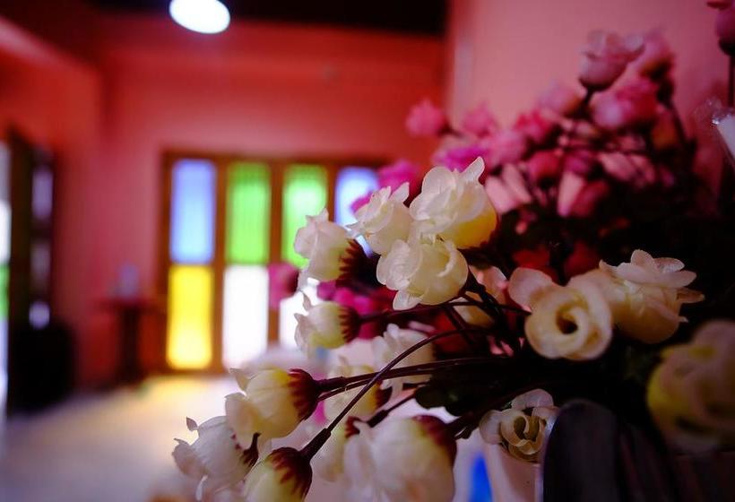 Nap Corner Hostel 17