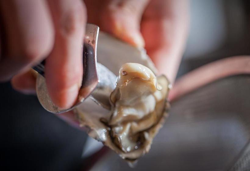 Hotel Steinhäuser Hof 1