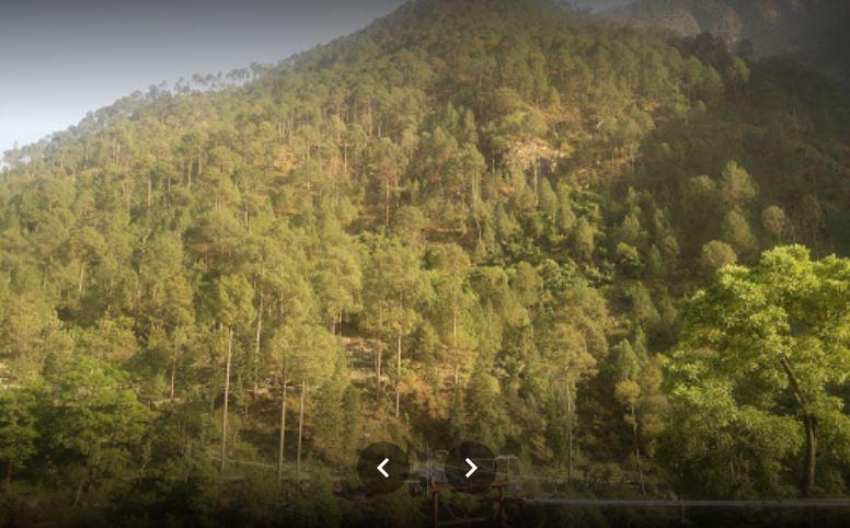 Hotel Inder Place 10