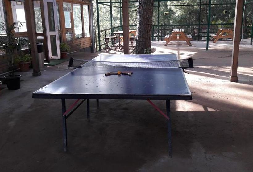 Kasauli Hills Resort 12