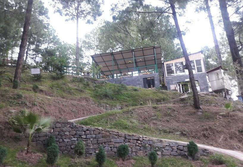 Kasauli Hills Resort 14