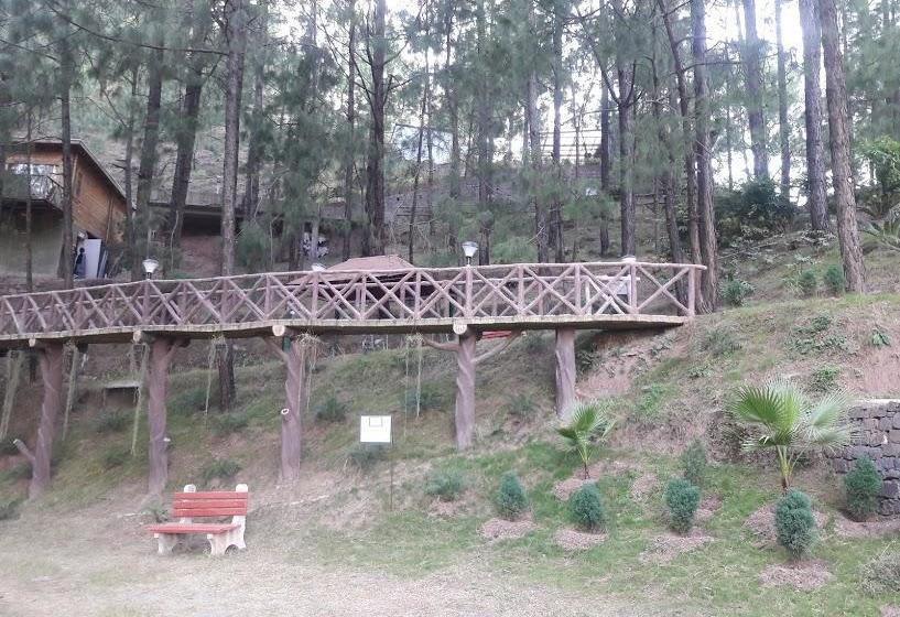 Kasauli Hills Resort 15