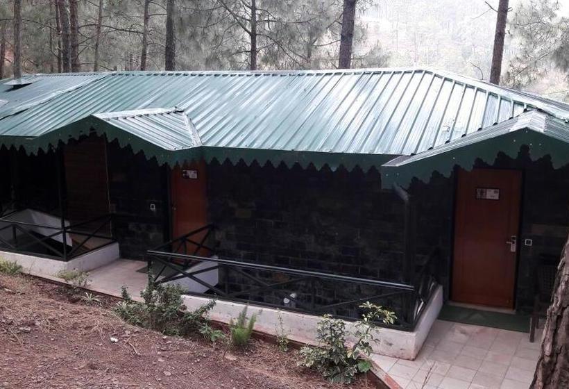 Kasauli Hills Resort 3