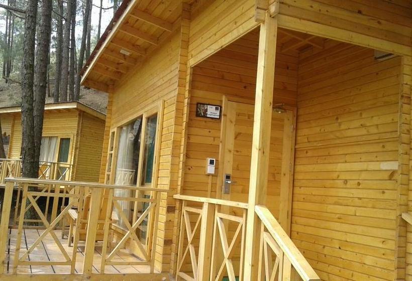 Kasauli Hills Resort 5