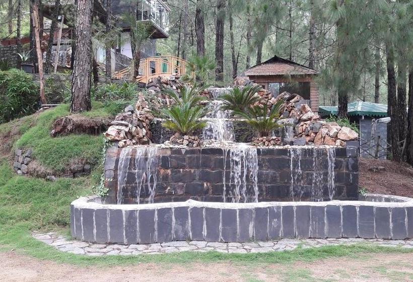 Kasauli Hills Resort 7
