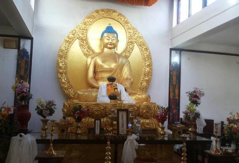 Hotel Wonderland Guest House 1