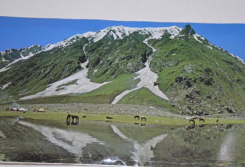 Hotel Wonderland Guest House 2