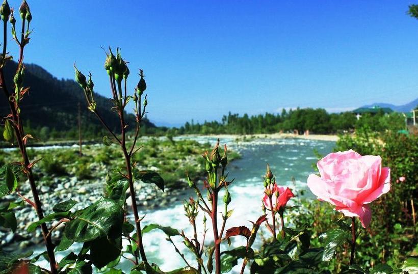 Fresh Water Resort 4