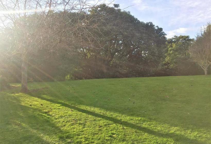 Bed and Breakfast The Fig Inn Retreat 6