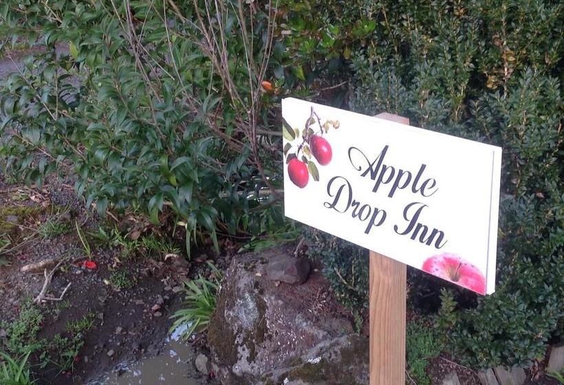 Bed and Breakfast Apple Drop Inn 9