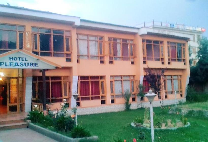 Hotel Pleasure 1