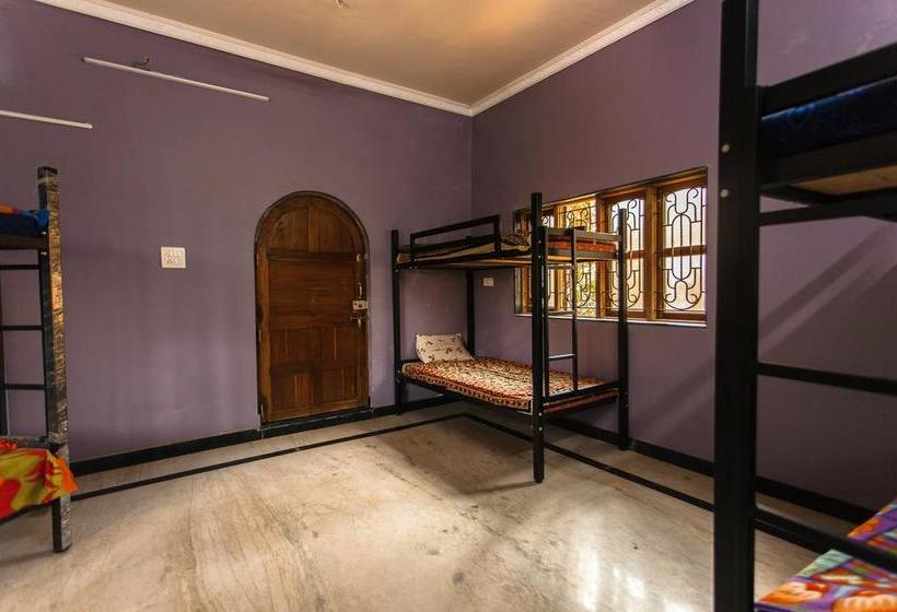 Arambol Hostel Goa 10