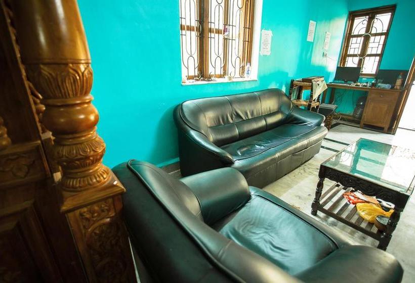 Arambol Hostel Goa 11