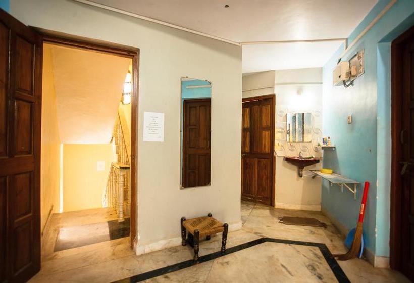 Arambol Hostel Goa 12