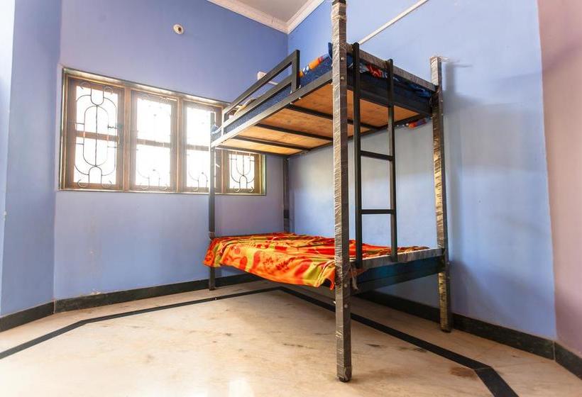 Arambol Hostel Goa 2