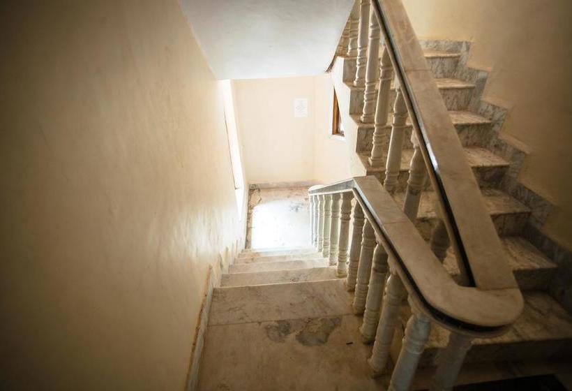 Arambol Hostel Goa 3