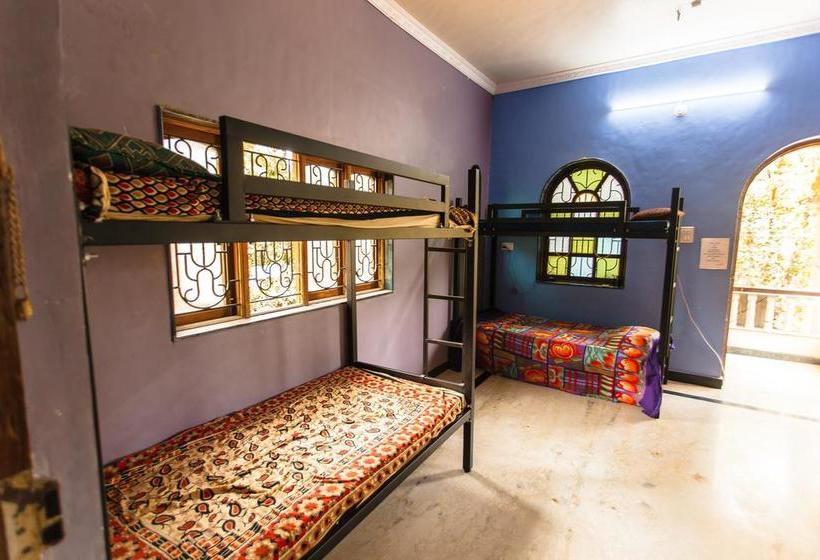 Arambol Hostel Goa 6