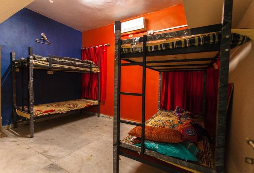 Arambol Hostel Goa 7