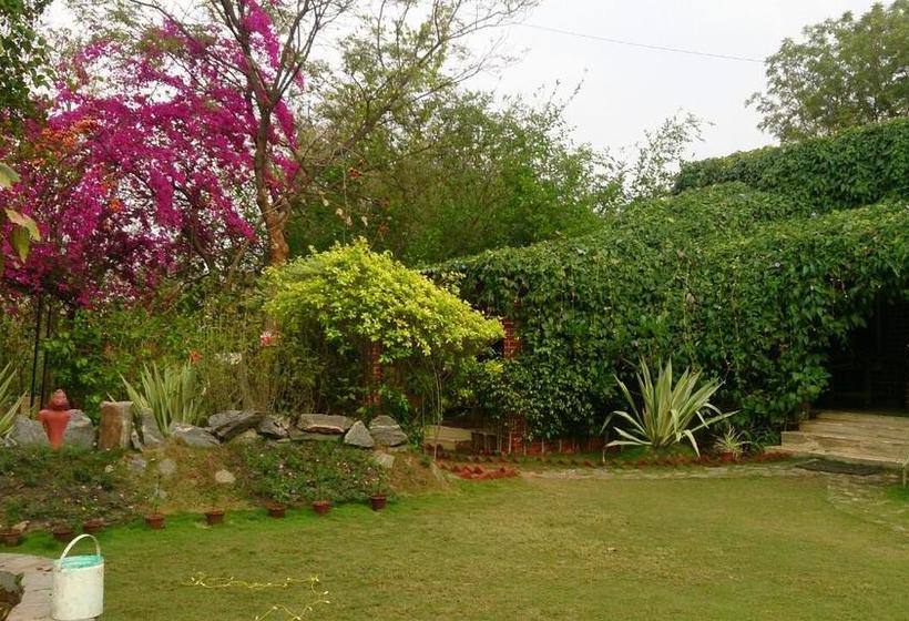 Baaz Jungle Resort Madhya Pradesh