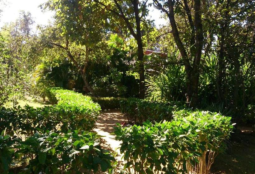 Baaz Jungle Resort 1