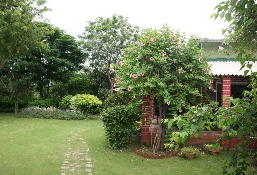 Baaz Jungle Resort 10