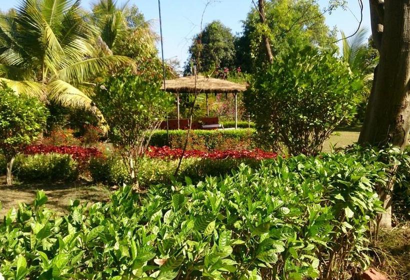 Baaz Jungle Resort 11