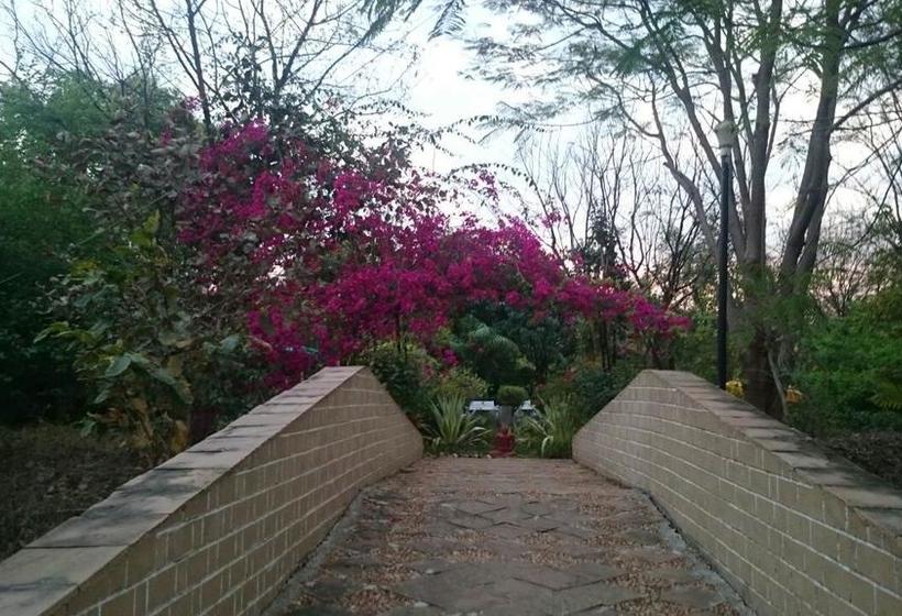 Baaz Jungle Resort 12