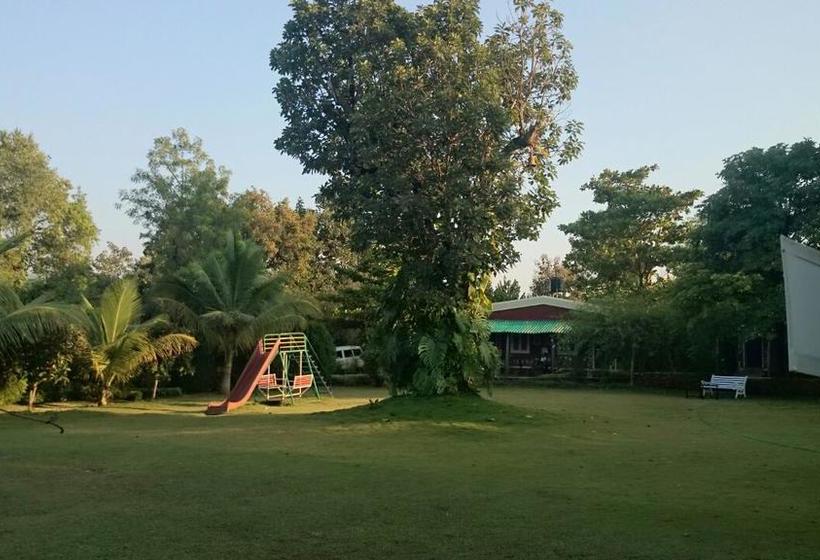 Baaz Jungle Resort 13