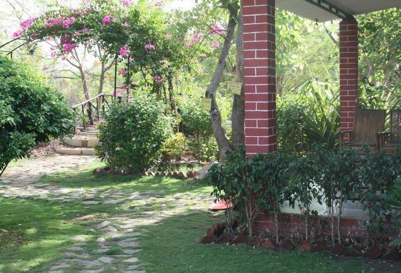 Baaz Jungle Resort 14