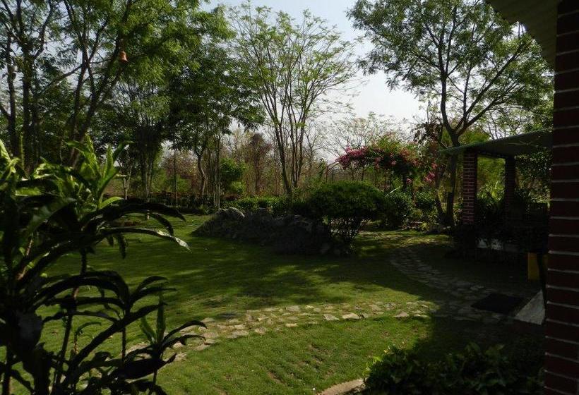 Baaz Jungle Resort 15