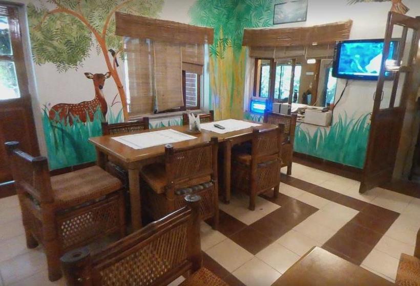 Baaz Jungle Resort 16