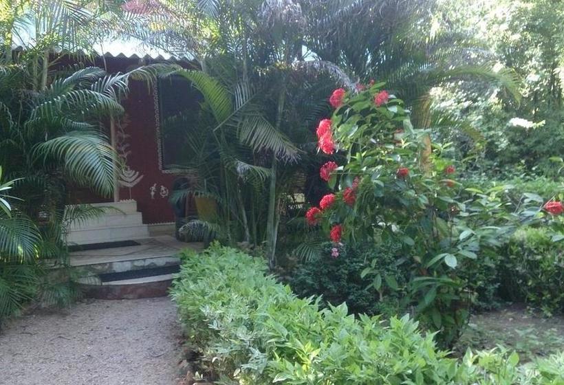 Baaz Jungle Resort 5