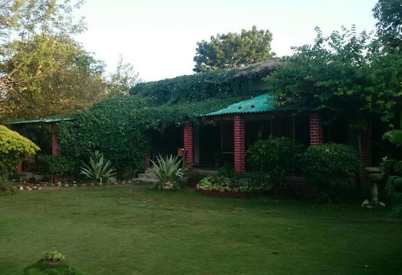 Baaz Jungle Resort 7