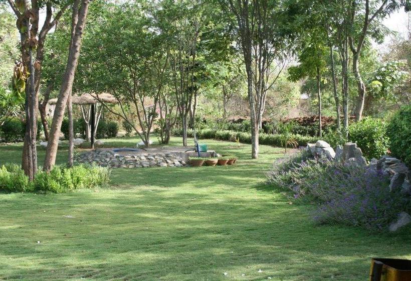 Baaz Jungle Resort 8