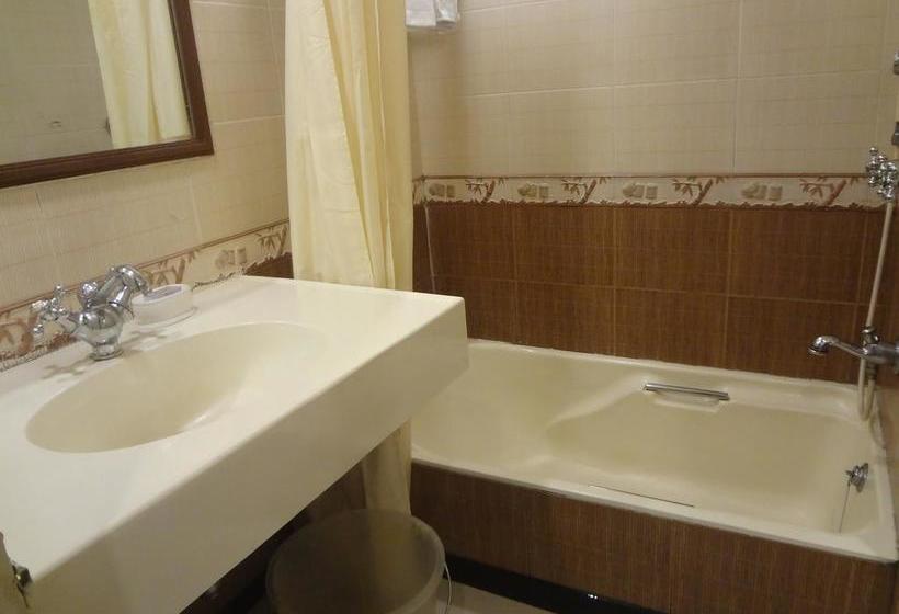 Hotel Kohinoor Park 16