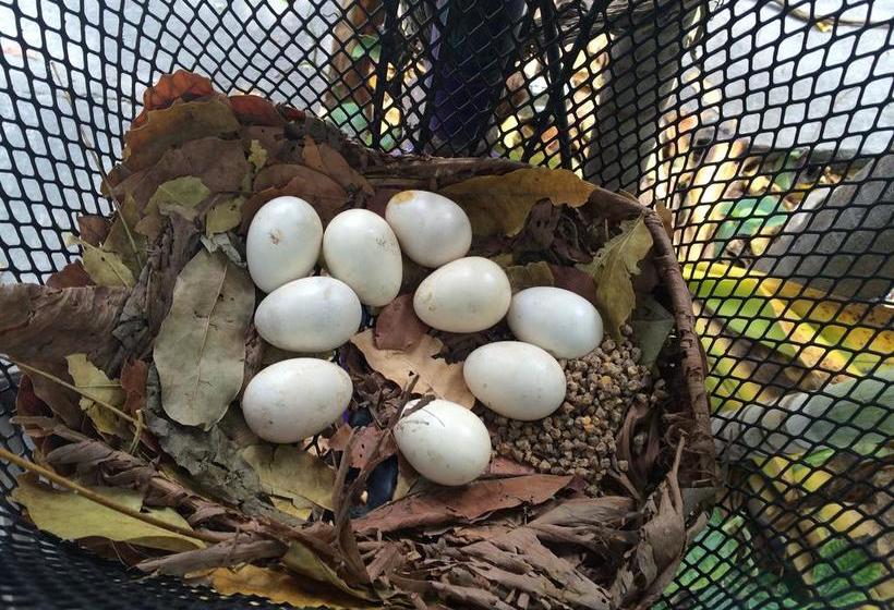 Hotel Jaroonwej Bangsaen 11