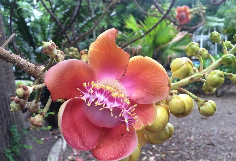 Hotel Jaroonwej Bangsaen 12