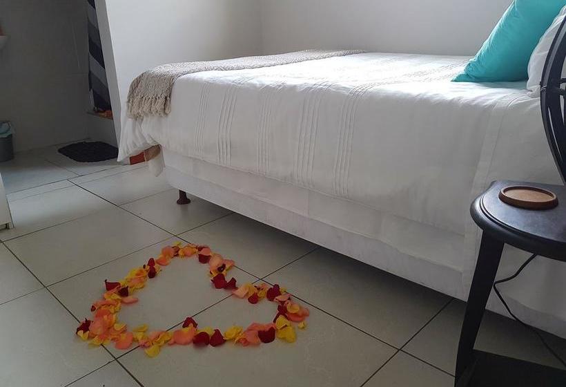 Bed and Breakfast Browne Palms 10