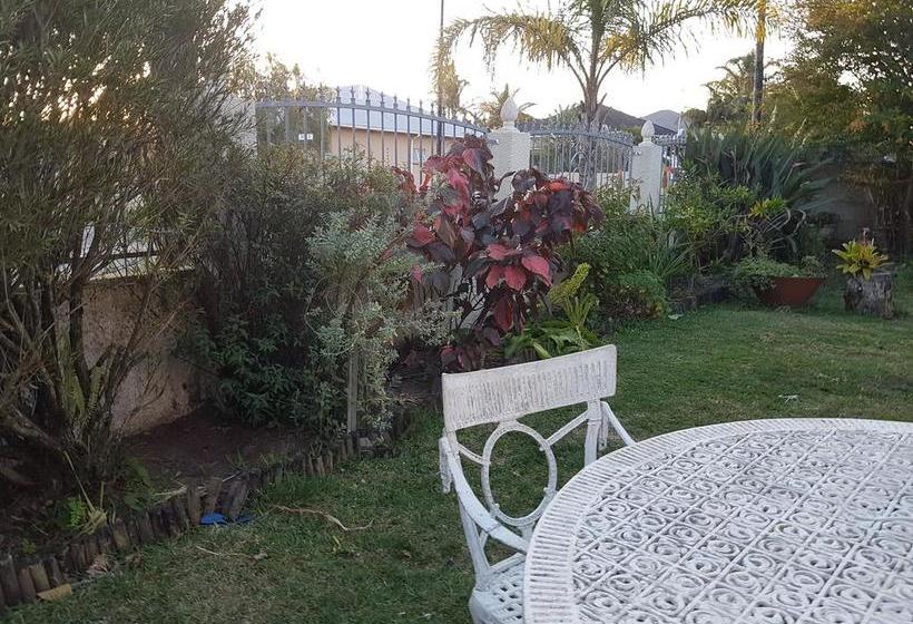 Bed and Breakfast Browne Palms 6