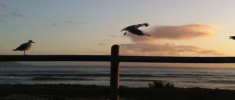 Bed and Breakfast Lala Panzi Western Cape