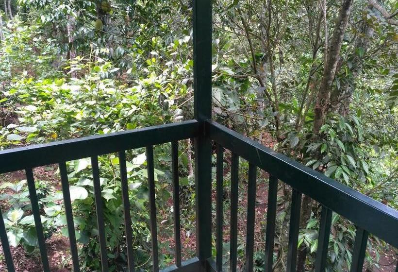 Lonely Stay Resort 1