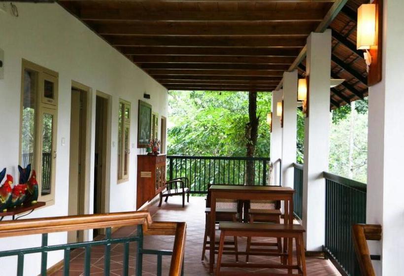 Lonely Stay Resort 12