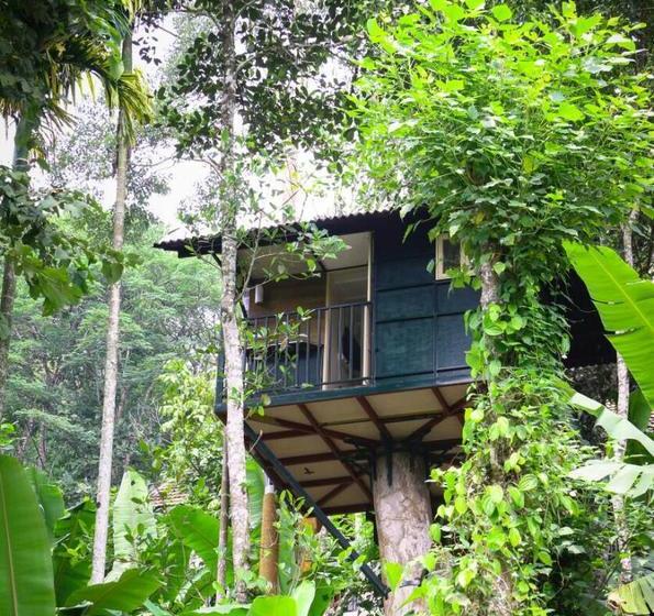 Lonely Stay Resort 18