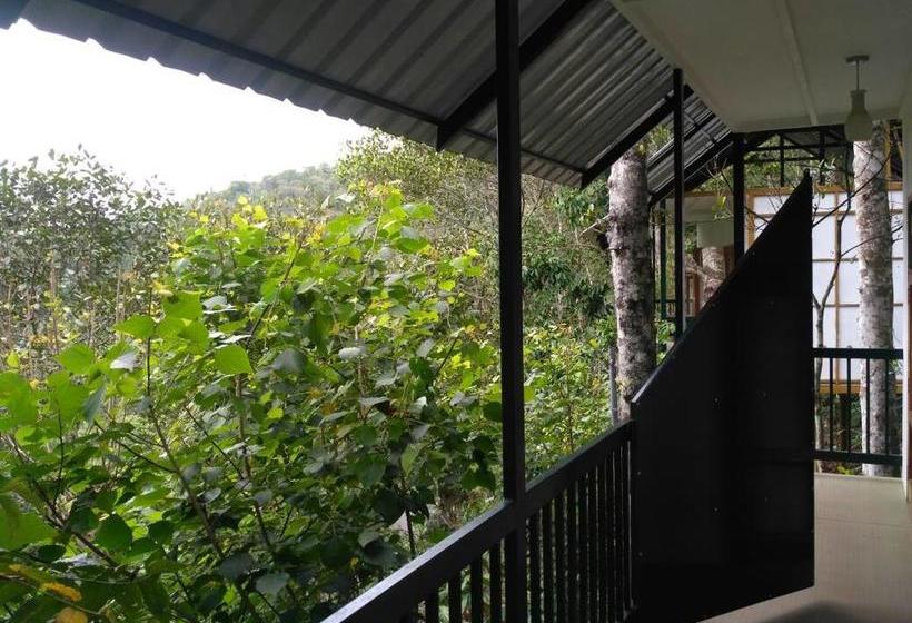 Lonely Stay Resort 3