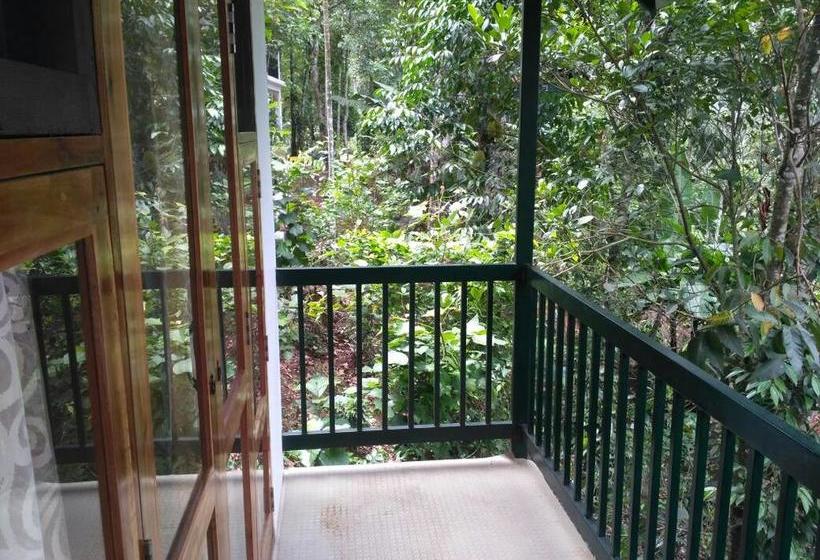 Lonely Stay Resort 7