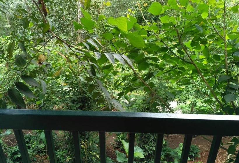 Lonely Stay Resort 8