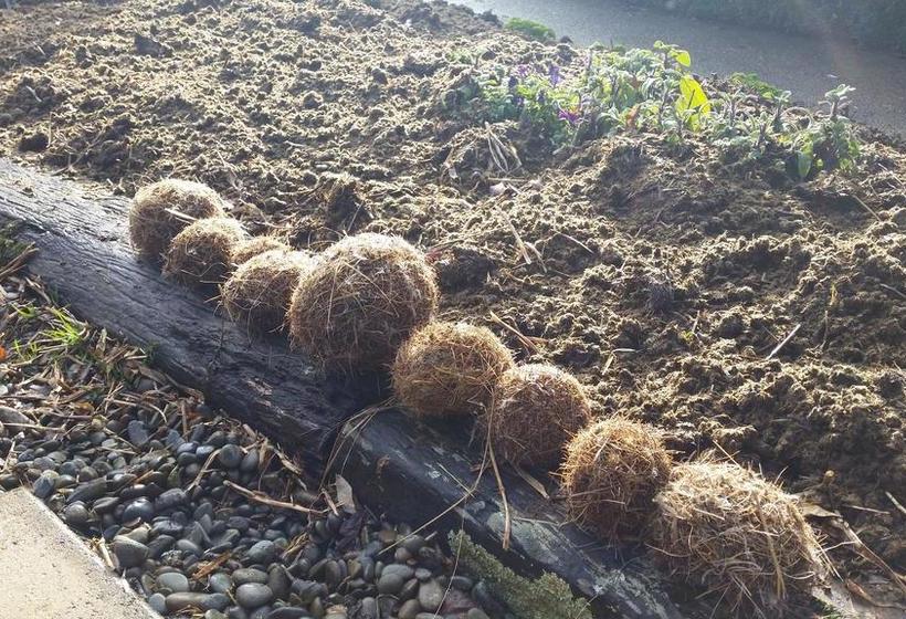 Bed and Breakfast Whiteacres 6