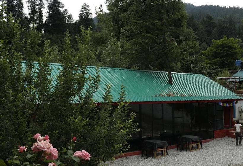 Bed and Breakfast Yolo Backpackers Hostel 13