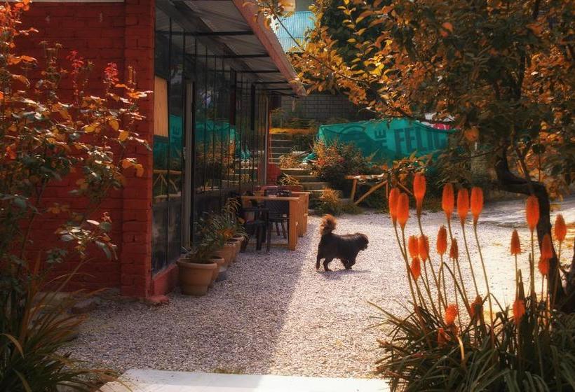 Bed and Breakfast Yolo Backpackers Hostel 2