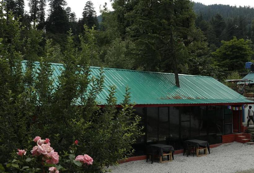 Bed and Breakfast Yolo Backpackers Hostel 6